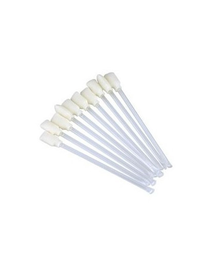 Evolis Kit Hisopos de Limpieza para Impresoras PVC - A5003