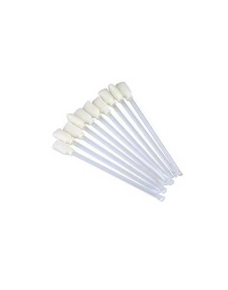 Evolis Kit Hisopos de Limpieza para Impresoras PVC - A5003